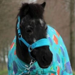 HB Harry And Hector Halfter Bellwood Fleece Türkis Mini Shet -Waldhausen Verkaufe hb 734 turquoise 1.153507