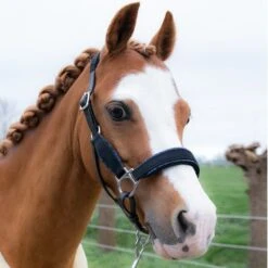 HB Halfter Showtime Velvet Little Sizes Schwarz/Navy Funkeln -Waldhausen Verkaufe hb 736 blue.5a617e