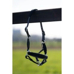 HB Halfter Showtime Velvet Little Sizes Schwarz/Navy Funkeln -Waldhausen Verkaufe hb 736 silver.7382f5