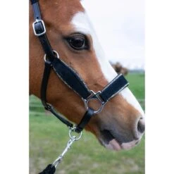 HB Halfter Showtime Velvet Little Sizes Schwarz/Navy Funkeln -Waldhausen Verkaufe hb 736 silver1.5437ad