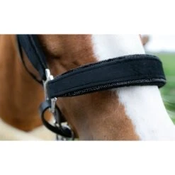 HB Halfter Showtime Velvet Little Sizes Schwarz/Silber -Waldhausen Verkaufe hb 736 zwart1.17ebf8 2