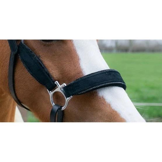 HB Halfter Showtime Velvet Little Sizes Schwarz/Schwarz Funkeln 5 HB Halfter Showtime Velvet Little Sizes Schwarz/Schwarz Funkeln – Bild 3