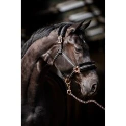 HB Halfter Europe Rose Navy -Waldhausen Verkaufe hb 738 zwart rose.11a62b