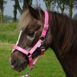 HB Halfter Shine Lack Limette Shetland -Waldhausen Verkaufe hb 739 pink 2.8ed07f 1