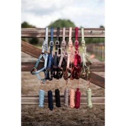 HB Halfterset Eclipe Rose -Waldhausen Verkaufe hb 757 ass.3165d5 2