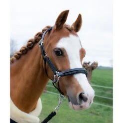 HB Halfter Showtime Glitty Little Sizes Schwarz/Navy Funkeln -Waldhausen Verkaufe hb 758 blue.1744e5