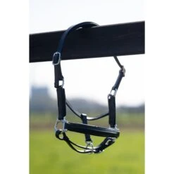 HB Halfter Showtime Glitty Little Sizes Schwarz/Navy Funkeln -Waldhausen Verkaufe hb 758 zwart 1.749917