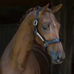 HB Showtime Halfter Lorenzo Leder Schwarz -Waldhausen Verkaufe hb 792 2.47c1e0