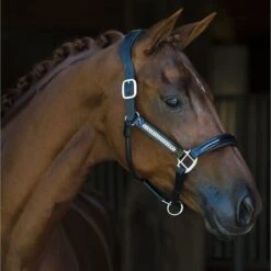 HB Showtime Halfter Lorenzo Leder Schwarz -Waldhausen Verkaufe hb 792.4a4642