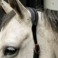 HB Showtime Halfter Anatomic Braun -Waldhausen Verkaufe hb 795 2.b87f3b