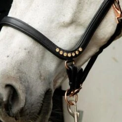 HB Showtime Halfter Anatomic Braun -Waldhausen Verkaufe hb 795.fc89f9