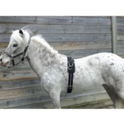 HB Longiergurt Little Sizes Schwarz -Waldhausen Verkaufe hb 864 zwart.7602c6