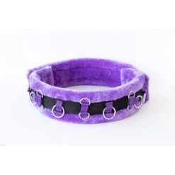 HB Longiergurt Little Sizes Bunt Royal Blue Shetland -Waldhausen Verkaufe hb 865 purple.ded5bf