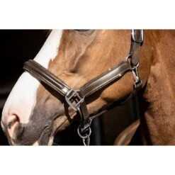 HB Showtime Halfter Glitty Brown Golden Glitter Warmblut -Waldhausen Verkaufe hbruitersport 790 b.677280