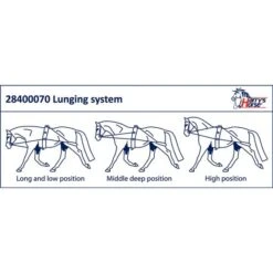 Harry's Horse Longierausbindezügel 6 Harry's Horse Longierausbindezügel -Waldhausen Verkaufe hh 28400070 2.c56a47