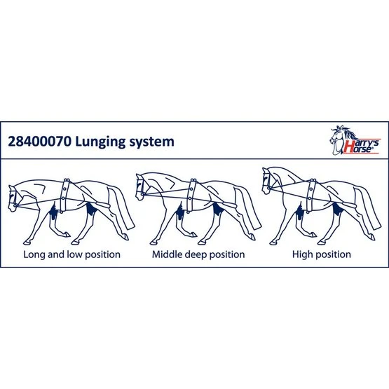 Harry's Horse Longierausbindezügel 4 Harry's Horse Longierausbindezügel – Bild 2
