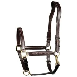 Harry's Horse Lederhalfter, Gepolstert, Supreme Schwarz -Waldhausen Verkaufe hh 28500001 bruin.0fcc4d