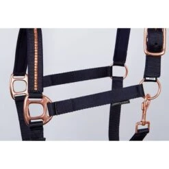 Harry's Horse Halfterset Rosegold NXT Schwarz Pony -Waldhausen Verkaufe hh 31000009 navy 2.0926f5
