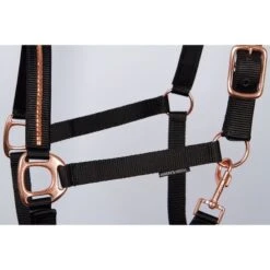 Harry's Horse Halfterset Rosegold NXT Schwarz Pony -Waldhausen Verkaufe hh 31000009 zwart 2.71def0