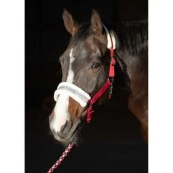 Harry's Horse Halfterset Lyrics Christmas Grün -Waldhausen Verkaufe hh 31000046 rood.5d3bad