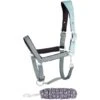Harry's Horse Halfterset Just Ride Provence Chinois-Green -Waldhausen Verkaufe hh 31002520 chinois green.e70aa2