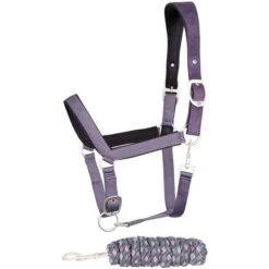 Harry's Horse Halfterset Just Ride Provence Chinois-Green -Waldhausen Verkaufe hh 31002520 shark.3d2535