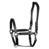 Harry's Horse Lederhalfter, Gepolstert, Supreme Schwarz 2 Harry's Horse Lederhalfter, Gepolstert, Supreme Schwarz -Waldhausen Verkaufe hh 44418289 28500001 zwart.a9b589