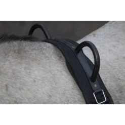 HKM Longiergurt Canvas Mit Doppelter Handgriff Schwarz -Waldhausen Verkaufe hkm 12701 2.55d83a