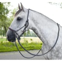 HKM Knotenhalfter Strass Mit Zügel Dunkelgrau/Weinbeere -Waldhausen Verkaufe hkm 13149 7.fa60b3