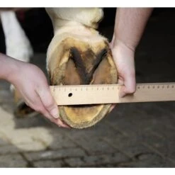 HKM Hufschuh Schwarz -Waldhausen Verkaufe hkm 7955 meten.719e50