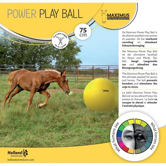 Maximus Power Play Ball Gelb 4 Maximus Power Play Ball Gelb – Bild 2