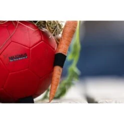 Maximus Ball Fun Play Orange -Waldhausen Verkaufe hof 277365.53a835 5
