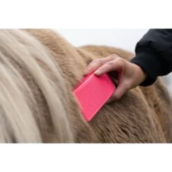 Excellent Bürste Horse Rosa -Waldhausen Verkaufe hofman bors0004h6.3b1458