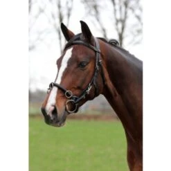 Horka Kapzaum Schwarz/Silber