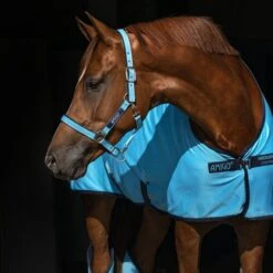 Amigo Halfter Navy/Silber -Waldhausen Verkaufe hw acrj44 dbb0 dhrh40 dbb0 792x528.ac8285