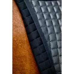 Horseware Schabracke Comfort Tech Dressur Schwarz Vollblut/Warmblut 23 Horseware Schabracke Comfort Tech Dressur Schwarz Vollblut/Warmblut -Waldhausen Verkaufe hw dahtld k000 horseware tech comfort dressage pad 6.1a230e 1