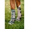 Horseware Flyboots Oatmeal/Sage -Waldhausen Verkaufe hw ddhfl0 mfmh horseware fly boot 2.757fd2