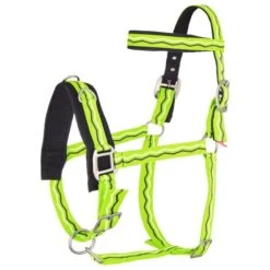 Imperial Riding Kapzaum Nylon Jade -Waldhausen Verkaufe ir 1606000003 6017.8e1361