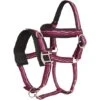 Imperial Riding Kapzaum Nylon Rose/Bordeaux/Silver -Waldhausen Verkaufe ir 1606000003 3005.b32c2f 3