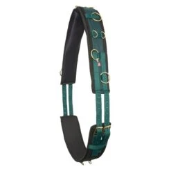 Imperial Riding Longiergurt Deluxe Zusätzlich Nylon Multi Forest Green -Waldhausen Verkaufe ir 536dbcca7e3989414cf8588ca5cb3dba56e86cc1 1607030004 6106.827b9b 4