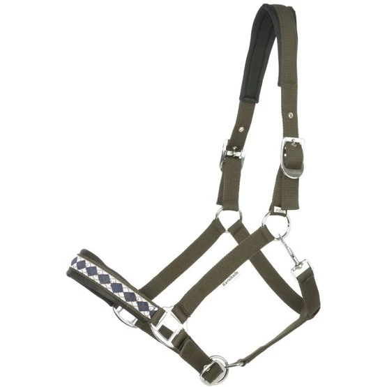 Kavalkade Perlon Halfter Perlon Classic Grün 3 Kavalkade Perlon Halfter Perlon Classic Grün