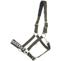 Kavalkade Perlon Halfter Perlon Classic Bordeaux -Waldhausen Verkaufe kav 29015 04.775d94