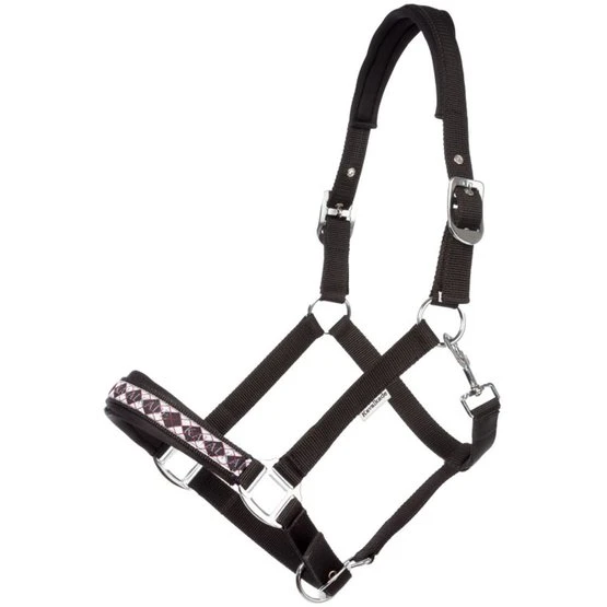 Kavalkade Perlon Halfter Perlon Classic Grün 9 Kavalkade Perlon Halfter Perlon Classic Grün – Bild 7