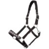 Kavalkade Perlon Halfter Perlon Classic Schwarz -Waldhausen Verkaufe kav 29015 05.a0de87 2