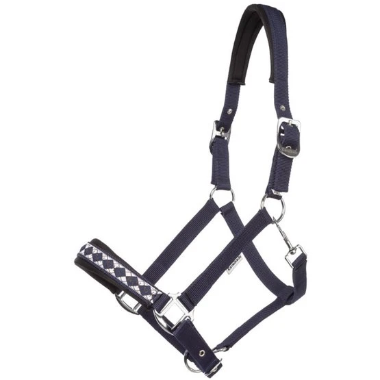 Kavalkade Perlon Halfter Perlon Classic Grün 8 Kavalkade Perlon Halfter Perlon Classic Grün – Bild 6