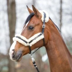 Kavalkade Halfter Marvellous Leder Mit Lammfell Schwarz WB -Waldhausen Verkaufe kavalkade zwart 1 28004.0fdedf