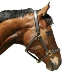 Covalliero Kerbl Halfter Eco Leder Braun -Waldhausen Verkaufe ke 32265.49ec18