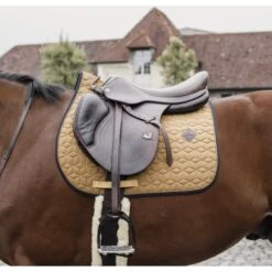 Kentucky Horsewear Kentucky Schabracke Softshell Springen Beige -Waldhausen Verkaufe ken 42580 mustard 2.3c5e48 2