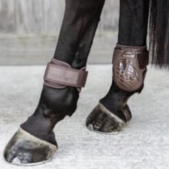Kentucky Horsewear Streichkappen Young Horse Dunkel Grün 33 Kentucky Horsewear Streichkappen Young Horse Dunkel Grün -Waldhausen Verkaufe ken 485a1072 a929523bbdd099ba1a676b6771a9e673 article photobook m.ef7c2a 1