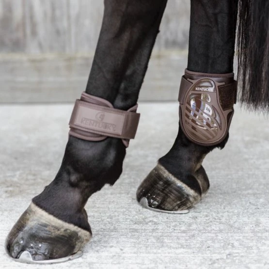 Kentucky Horsewear Streichkappen Young Horse Dunkel Grün 14 Kentucky Horsewear Streichkappen Young Horse Dunkel Grün – Bild 12